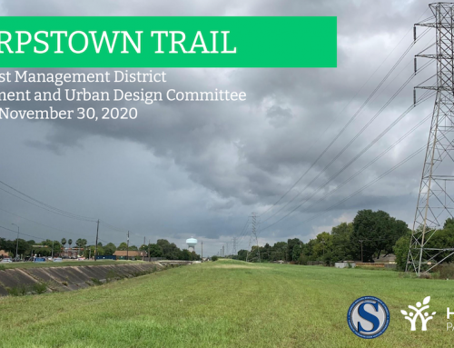 CenterPoint Trail Update, Nov. 30 2020